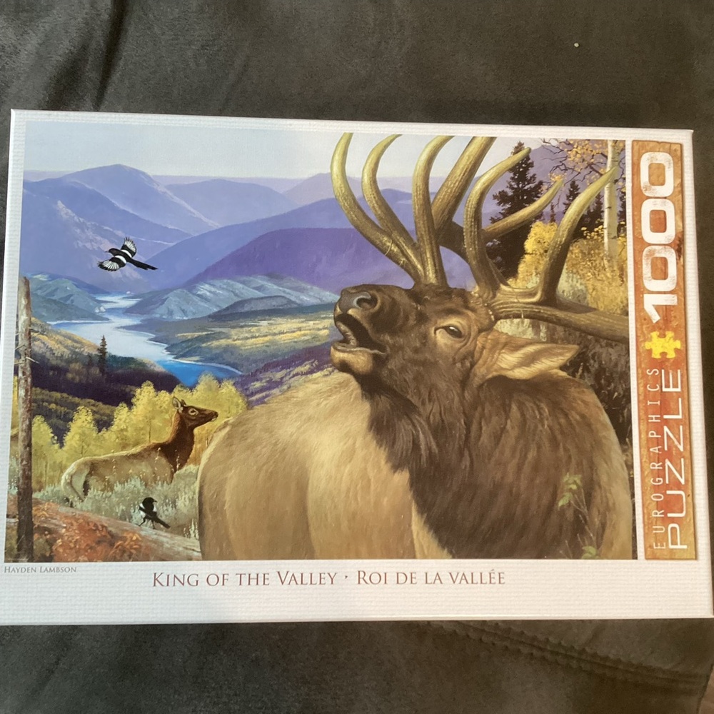 1000pc Puzzle